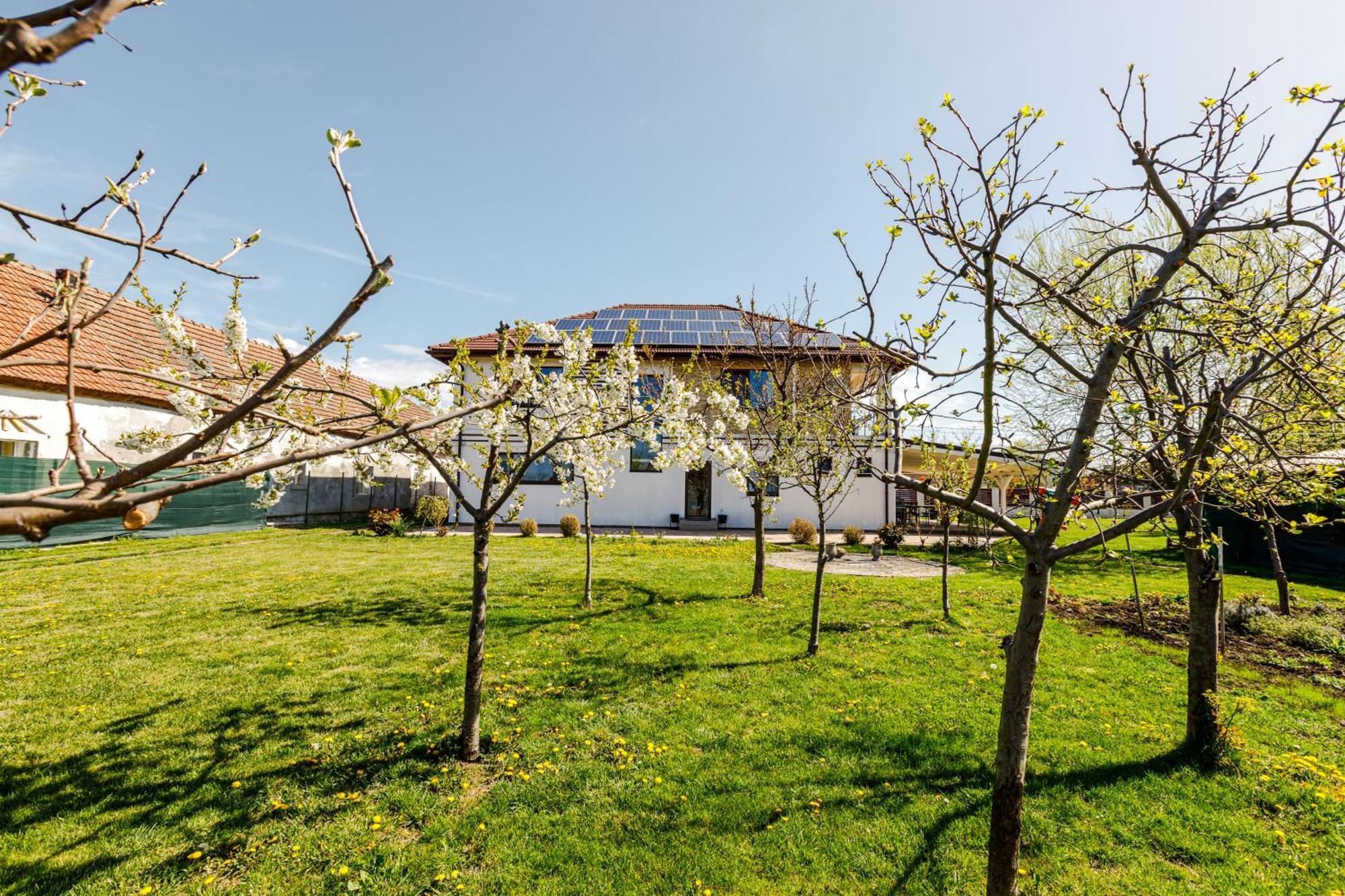 Gasthaus Sacalaz Timişoara Exterior foto